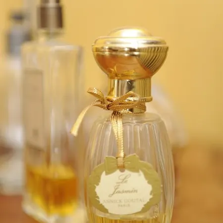 מלון De La Providence 3*